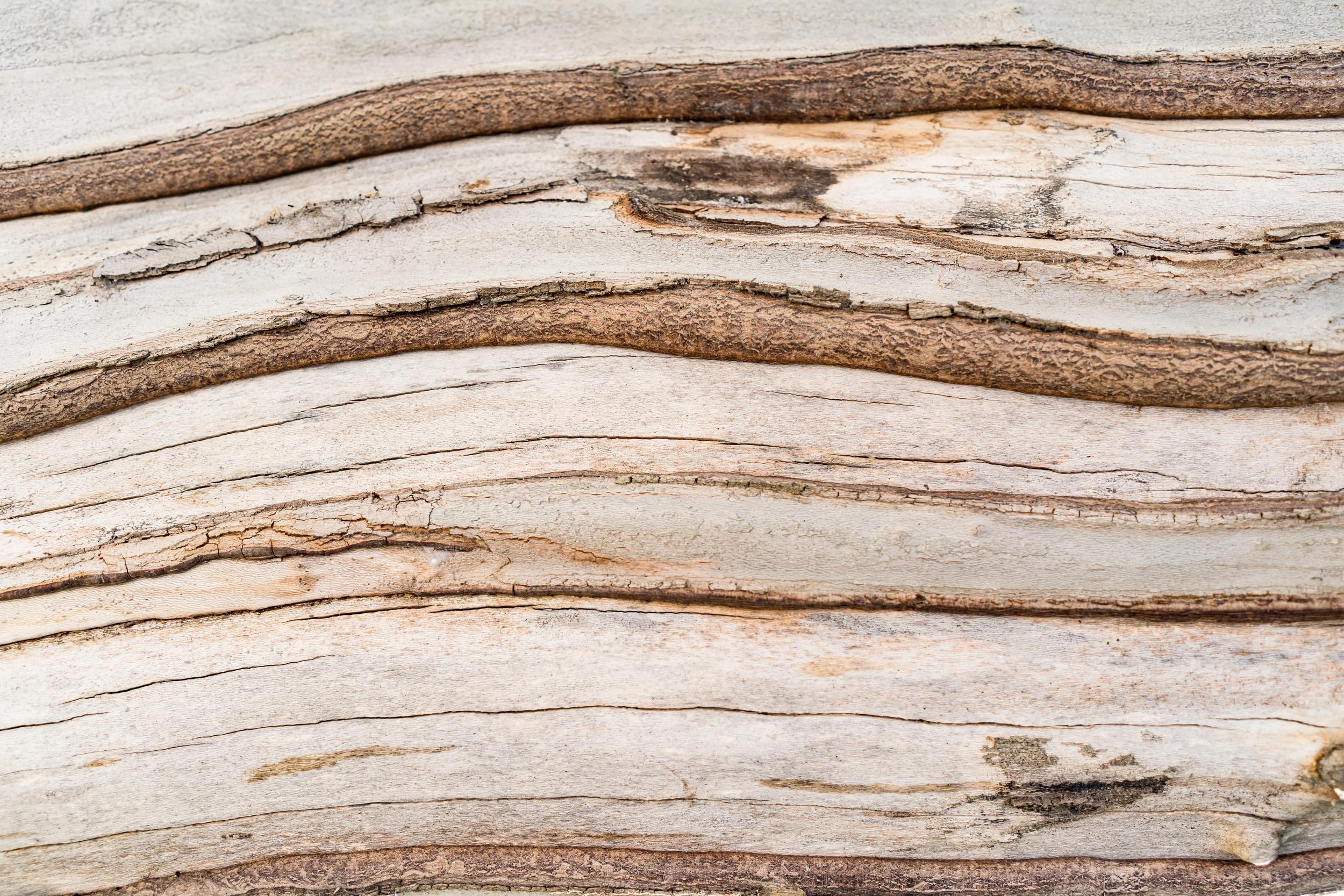 Le bois naturel des chambre de l'hôtel de charme à Campomoro